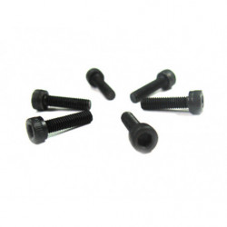 3 * 12 Cap Screws 6P