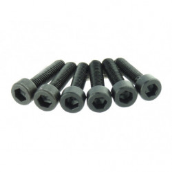 3 * 14 Cap Screws 6P